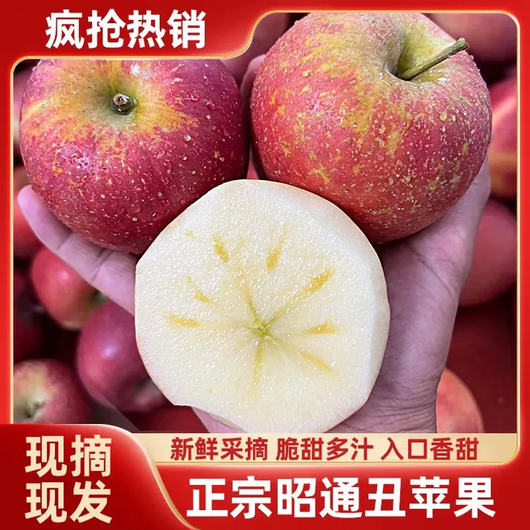 【东方好客】2025年云南昭通冰糖心丑苹果脆甜多汁细腻香昭通丑苹果
