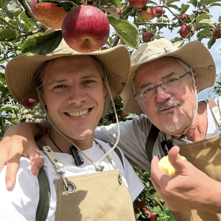 瑞典奶爸在大理｜生态红苹果现摘现发不打药不打蜡可吃皮甜脆新鲜