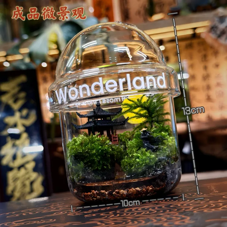 蛋仔成品微景观玻璃瓶生态瓶苔藓瓶办公室桌面摆件绿植创意礼物