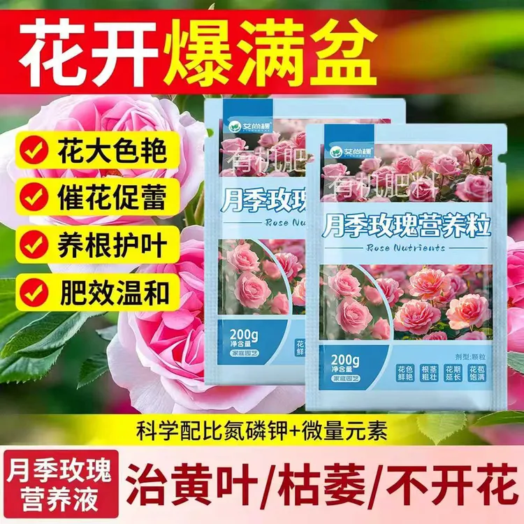 花枝美月季卫士黑斑白粉黄叶家庭种植月季管理农用铲商品图