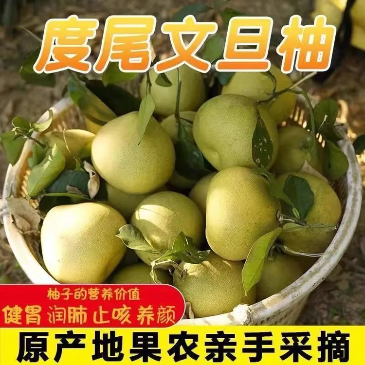福建仙游度尾文旦柚红心柚子当季现摘新鲜水果（坏果包赔）