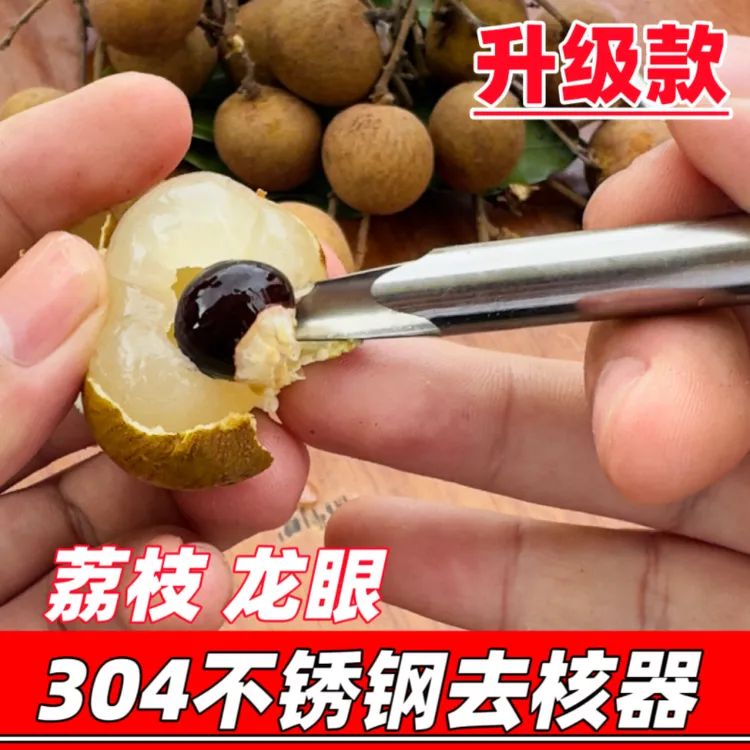 龙眼挖核去核神器不锈钢去核挖龙眼核肉桂圆干龙眼干家用制作工具