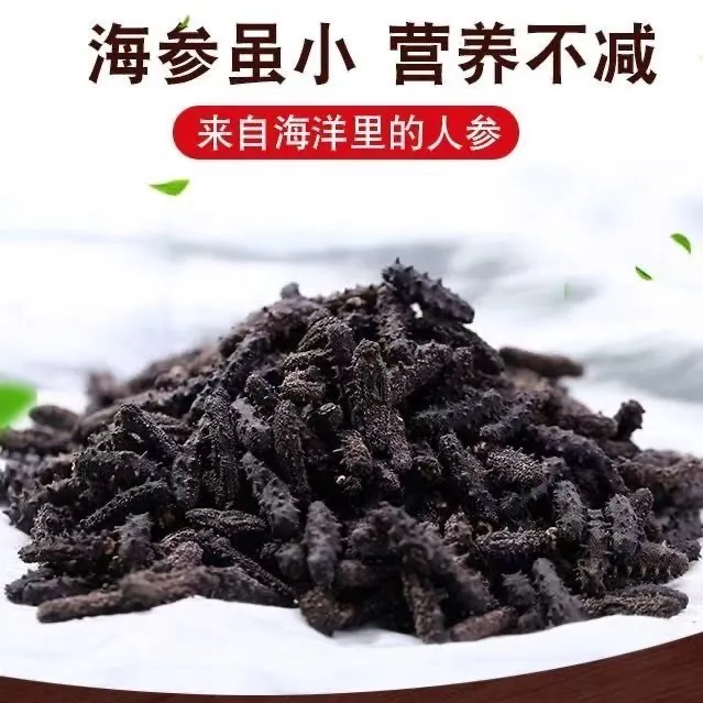 【臻鲜湾】正宗国标小海参辽刺参非即食无添加干货海参辽参干海参