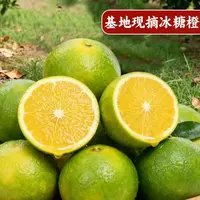 【云南哀牢山】青皮冰糖橙应季新鲜水果现摘现发清甜多汁产地直发