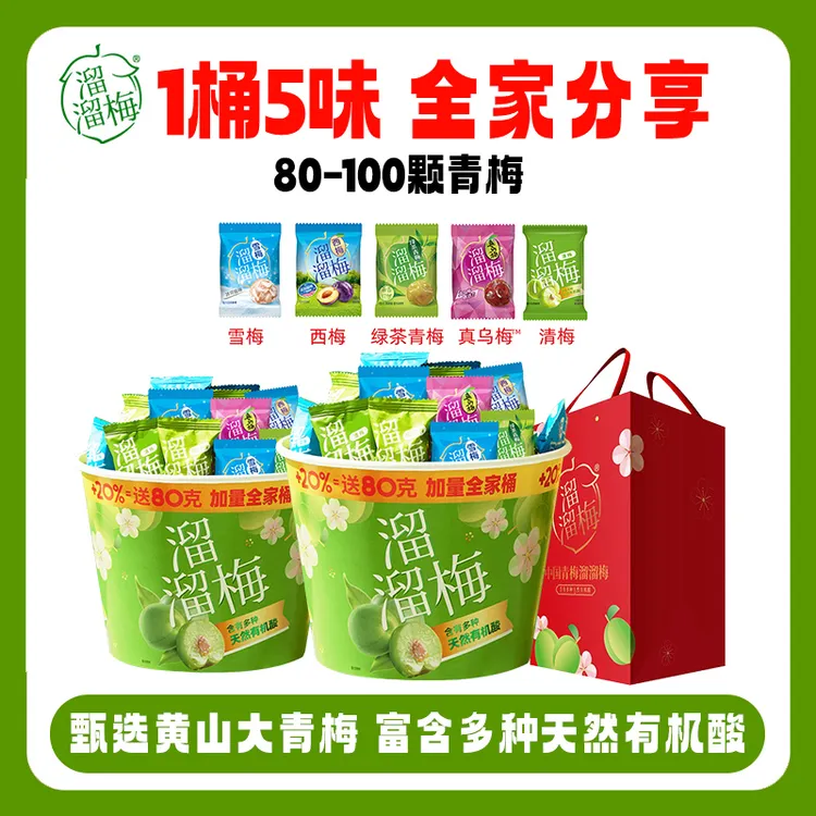 溜溜梅青梅零食5味纯梅子全家桶480g*2解腻囤货酸甜解馋追剧必备Z