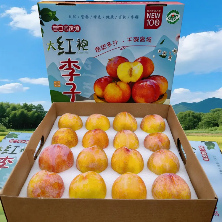 大石桥大红袍李子礼盒装新鲜李子水果4.5斤~5斤香甜多汁