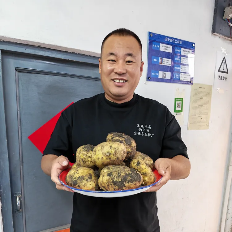 黑龙江讷河尤金885黄瓤黄心土豆嘎嘎面