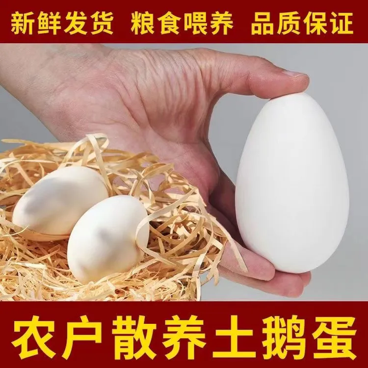 农家散养土鹅蛋20枚鹅蛋新鲜现捡现发健康喂养孕妇宝宝辅食