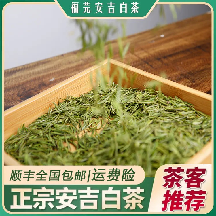 安吉白茶2025年新茶花蜜金镶玉安吉高山白茶溪龙原产地发货