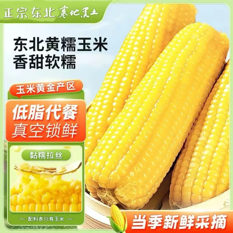 【整箱14根 含试吃6根】东北黄糯玉米新鲜玉米甜糯拉丝玉米