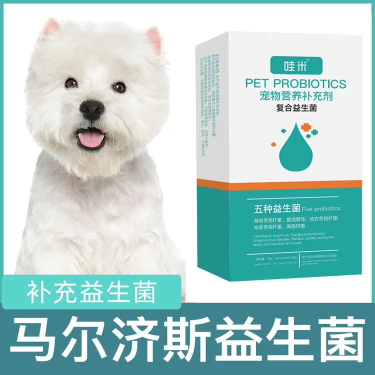 马尔济斯益生菌粉宠物犬用狗狗小幼犬成犬肠胃宝肠道消化宝