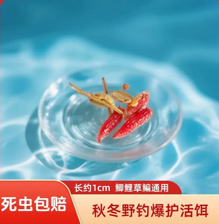 精品鲜活红蛆虫非染色浓腥钓鱼饵料适合鲤鱼鲫鱼马口石斑白条溪流