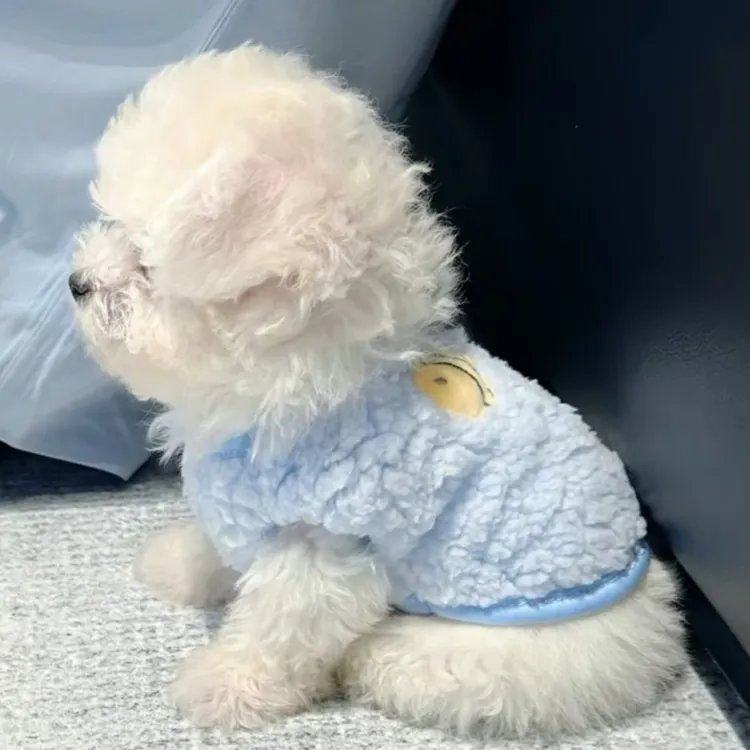小宠狗狗衣服秋冬猫咪奶狗幼猫小型犬泰迪比熊幼犬宠物保暖防着凉