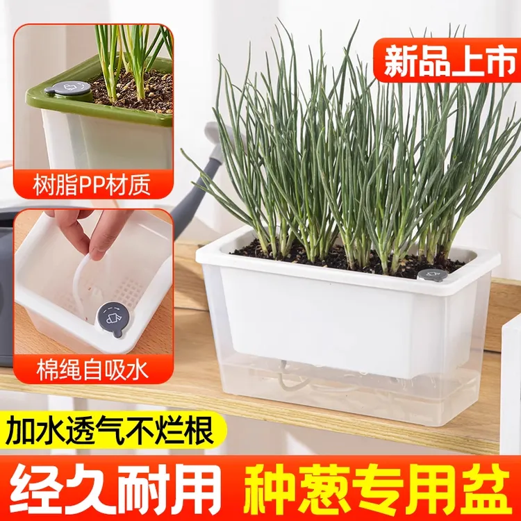 懒人自吸水种菜盆韭菜盆栽种葱盆阳台庭院蔬菜种植专用加厚树脂