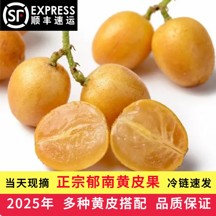 顺丰正宗广东郁南无核黄皮果清凉鸡心黄皮孕妇新鲜水果黄皮水果