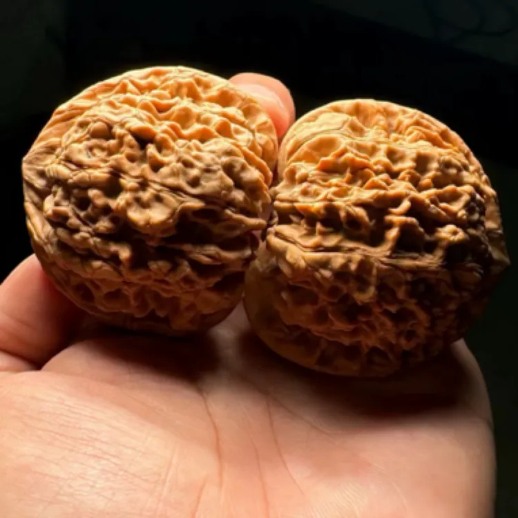 全品老树大尺寸麒麟纹官帽 尺寸可选