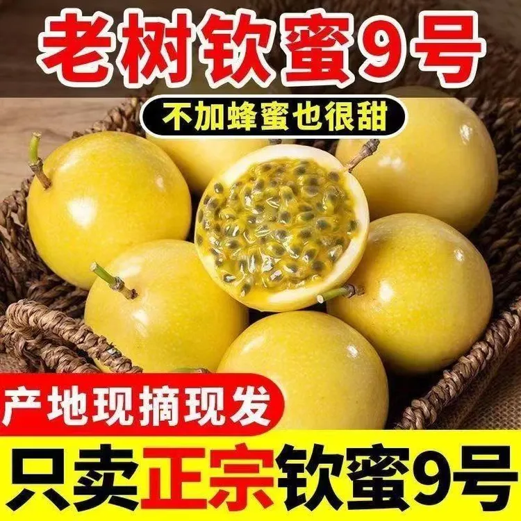 钦蜜九号黄金百香果
