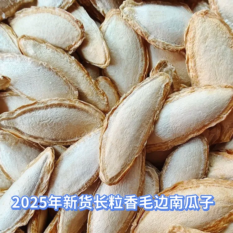 农家老品种长粒香毛边带壳南瓜子自然晒干颗粒饱满