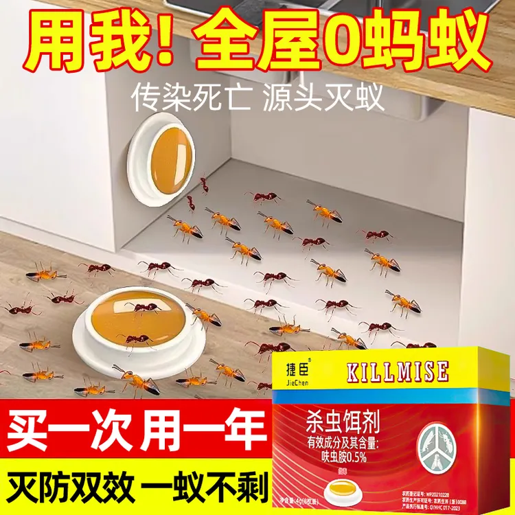 蚂蚁药蟑螂药一窝端家用非无毒强力呋虫胺杀蚁胶杀虫剂红黄蚁灭蚁