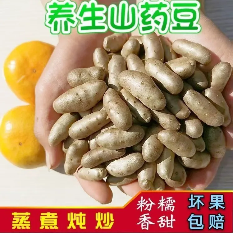 铁棍山药豆5斤装产地直发软糯香甜大果