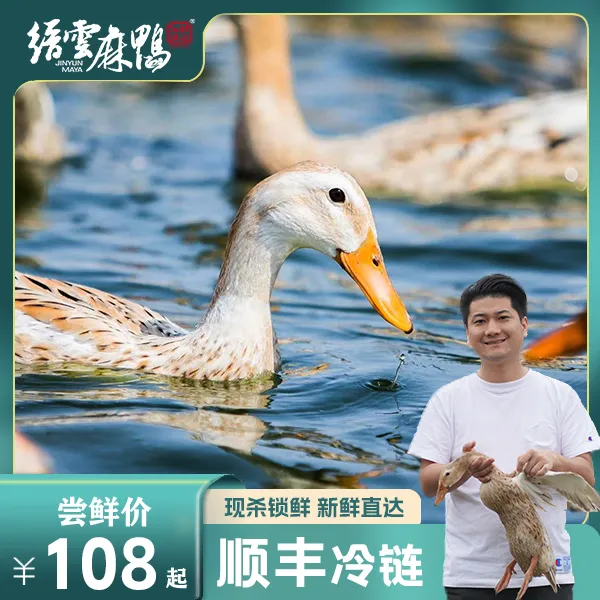 缙雲麻鸭正宗地标缙云老麻鸭天然老鸭顺丰包邮冷链配送去内脏