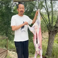 陕北横山双城羊肉 正宗好羊肉 去油 礼盒装