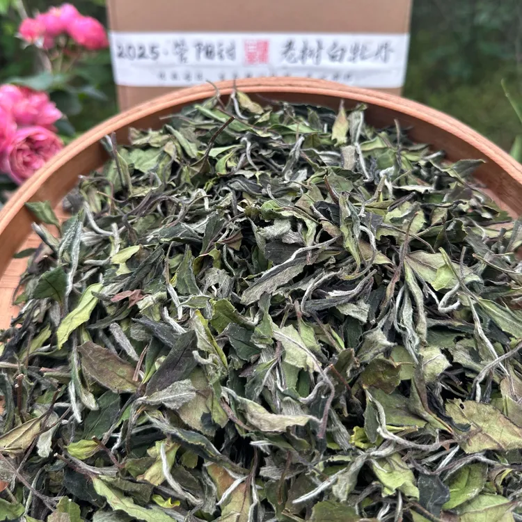 管阳高山精选1000克白牡丹2025明前头春花香老树荒野白牡丹