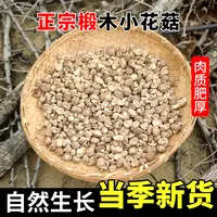 四川巴中青杠椴木小花菇肉厚泡发高不熏硫当季新货炖汤食材