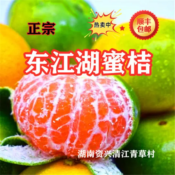 东江湖蜜橘蜜桔顺丰包邮偏远除外(内含泡沫防摔保护层)