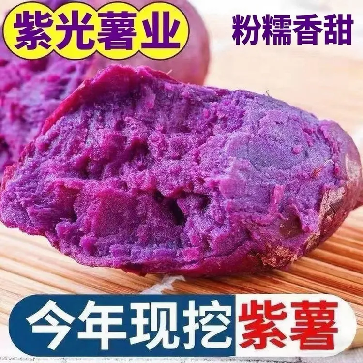 【ZG】紫光薯业沙地番薯种植现挖紫薯紫罗兰地瓜蔬菜批发