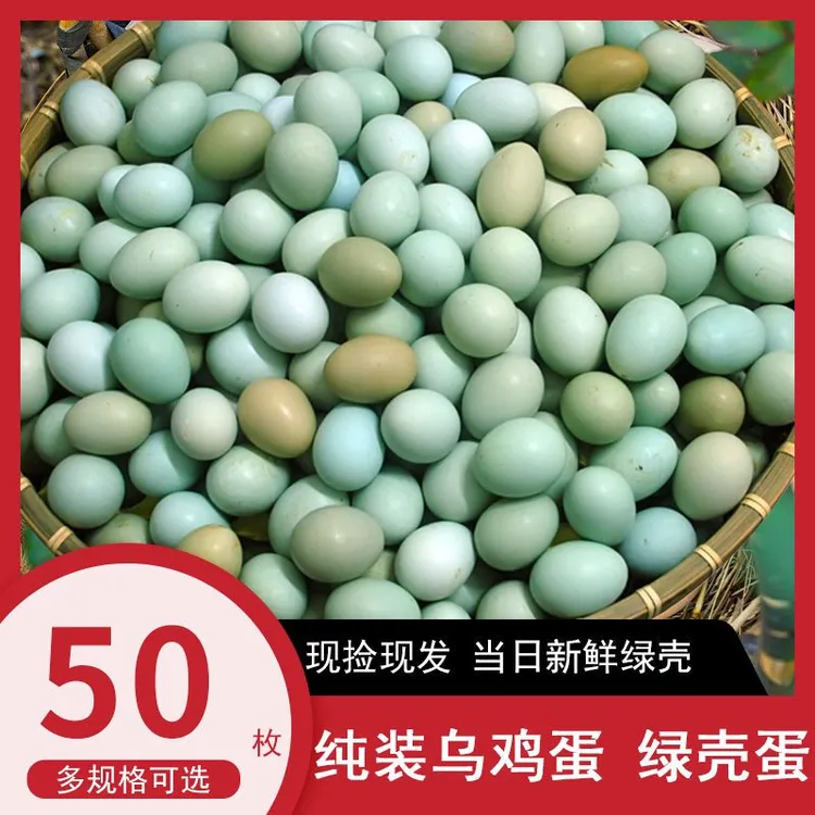 纯绿壳乌鸡蛋土鸡蛋正宗原产地新鲜发货整箱批发生鲜新鲜草鸡