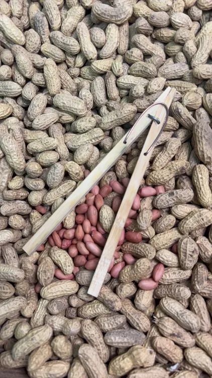 手工制作剥花生夹子（省时省力，手不疼神器）