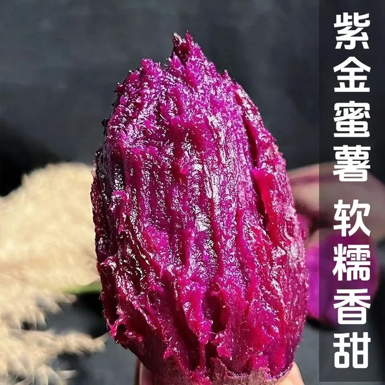 【现挖现发】湖北沙地紫薯宝宝薯小紫薯新鲜粉糯香甜蒸烤薯纤维代餐
