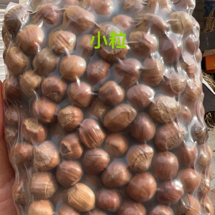 东北特产（熟)榛子小中颗粒5斤真空独立包装(送桶夹)