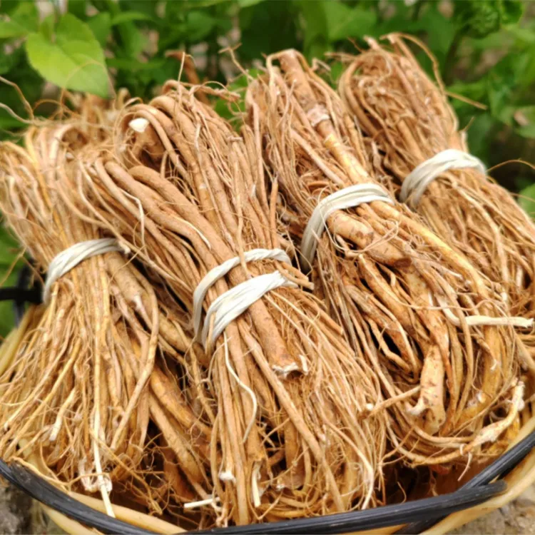 五指毛桃《用途:煲汤提鲜味增香味#半斤9-10捆，一斤18-20捆装》