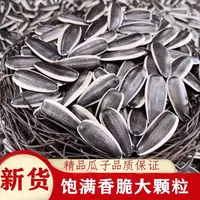 买一斤送一斤内蒙古原产地直发大颗粒原味熟瓜子新鲜美味零食