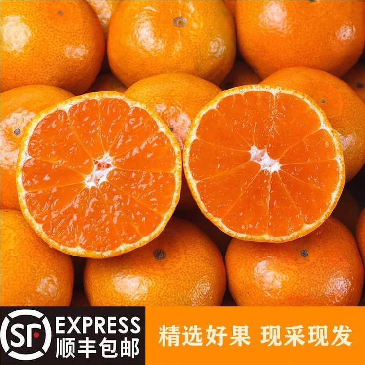 浙江台州临海涌泉蜜桔早熟宫川孕妇小孩老人维生素补充顺丰上门