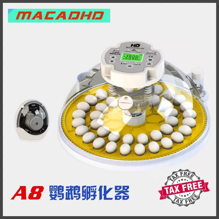 MACADHD全自动高精度家用小型丝雀鹦鹉芦丁柯尔鸭澳门A8孵化器