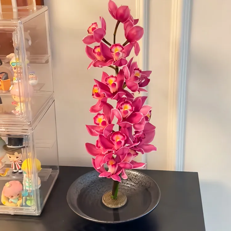 【六朝金粉】鲜切花云南基地直发兰花室内花卉大花蕙兰水培兰花鲜花