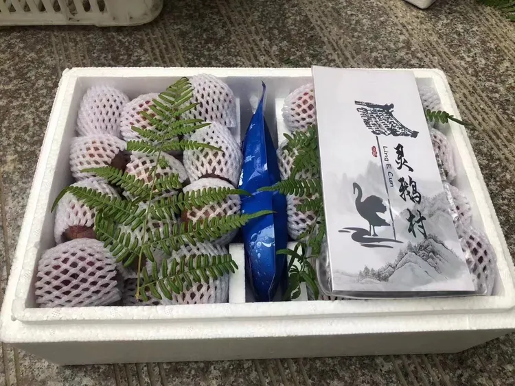 【小果】新鲜现摘嵊州灵鹅桃形李脆甜可口孕妇水果