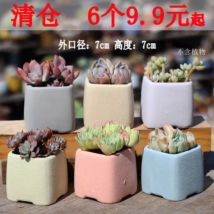 陶瓷多肉花盆粗陶拇指盆透气吸水盆老桩盆大口径群生盆精致控养盆
