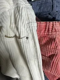 灯芯绒裤子  秋冬女款