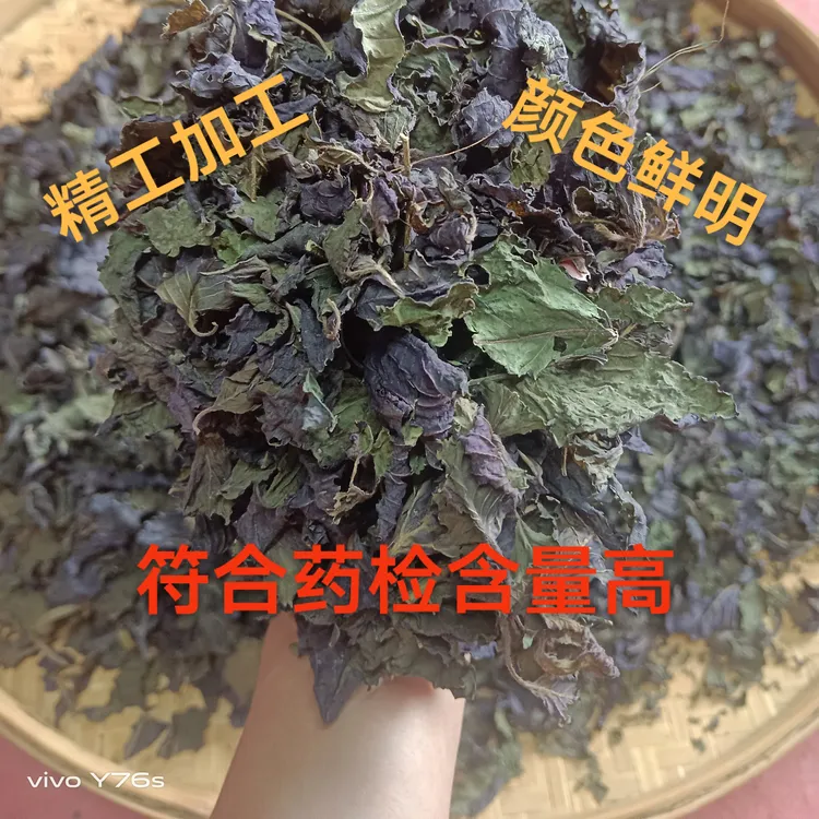玉林产地货-药食同源紫苏切叶无杆味香可做菜煮鱼泡水喝,买一送一