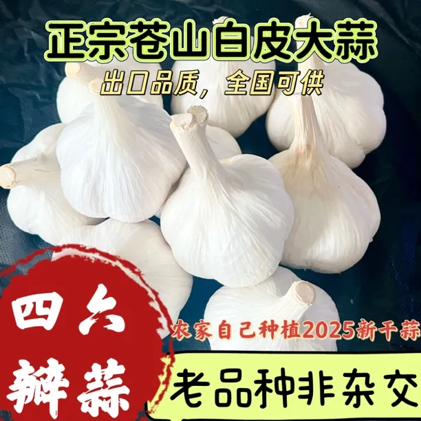 【干蒜】2025山东苍山四六瓣大蒜蒜香浓郁5斤实惠装