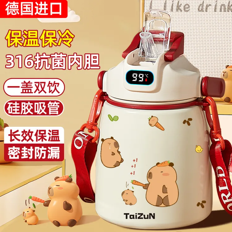 2025新款保冷水杯女大容量316不锈钢大肚保温杯儿童学生吸管杯男L