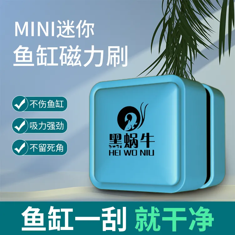 黑蜗牛可夹12个厚玻璃的迷你强磁鱼缸磁力刷小型擦玻璃除藻神器