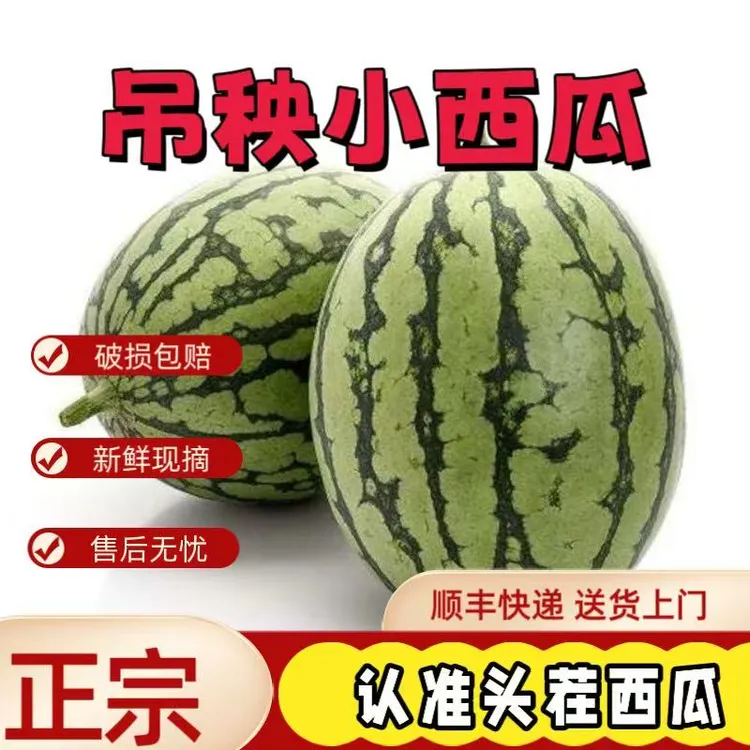 晓吸2粒装正宗头茬云南小爆瓜手撕4斤起脆甜好吃新鲜采摘