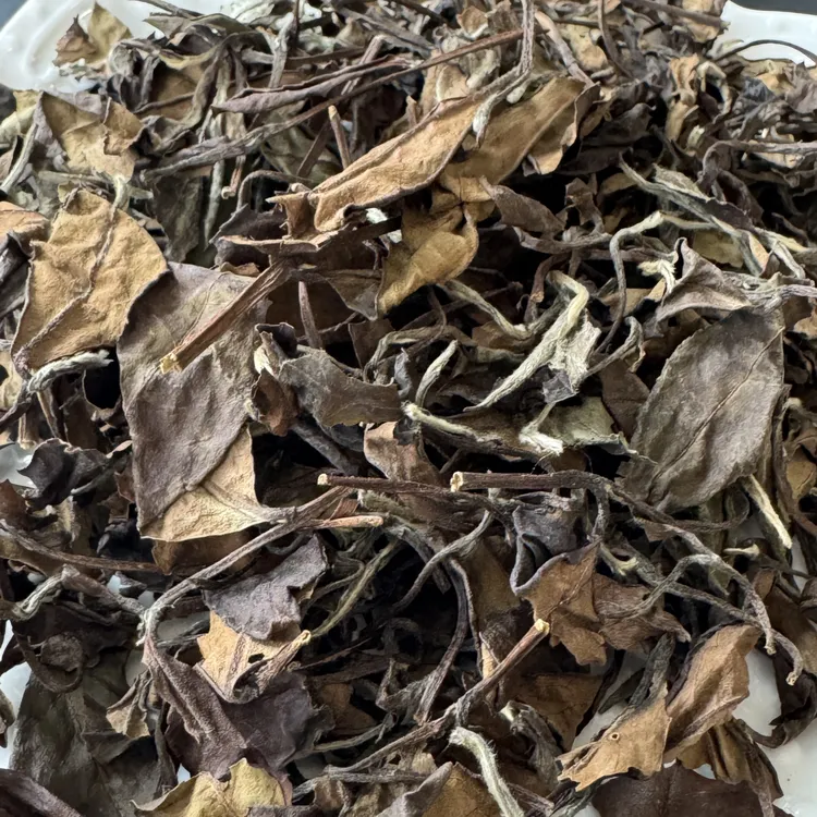 福建高山一级寿眉老白茶枣香浓郁醇厚耐泡散茶