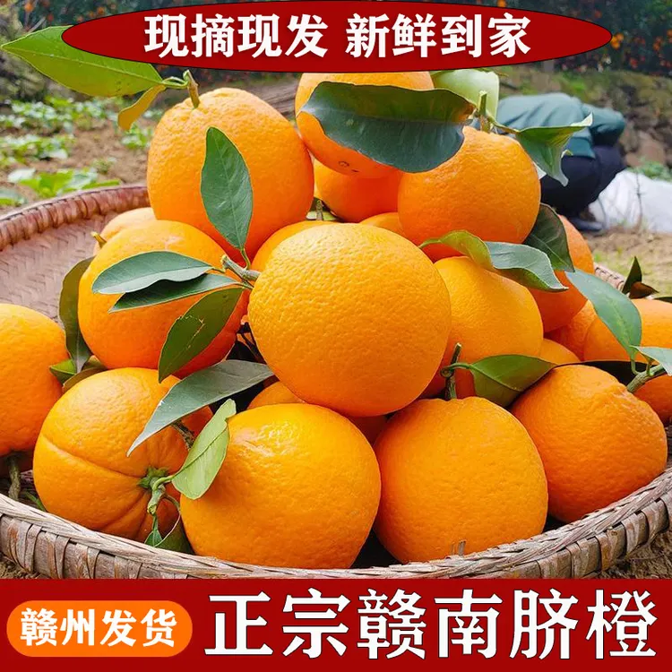 现摘正宗江西赣南脐橙新鲜当季水果整箱赣州产地10斤手剥橙子甜橙