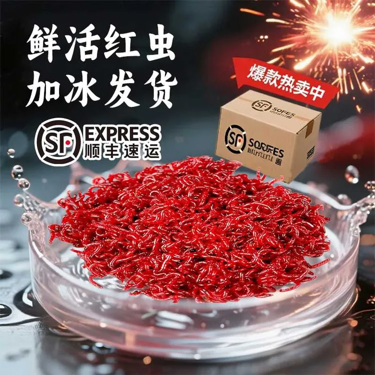 新鲜红虫黑头公虫活饵喂鱼饵拉饵鲫鱼野钓饵料钓鱼营养饵特大